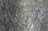 Swanton Novers fibreglass roof work